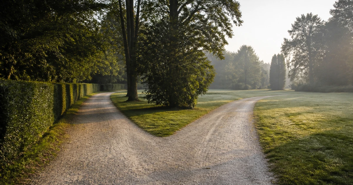 Deux chemins de gravier se séparant autour d'un arbre dans un parc au petit matin, l'un longé par une haie taillée, l'autre s'incurvant vers une pelouse dégagée.